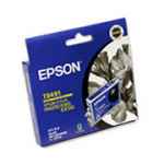 1 x Genuine Epson T0491 Black Ink Cartridge