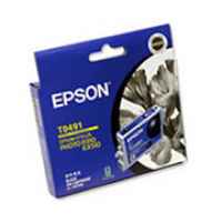 1 x Genuine Epson T0491 Black Ink Cartridge