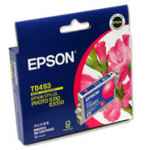 1 x Genuine Epson T0493 Magenta Ink Cartridge